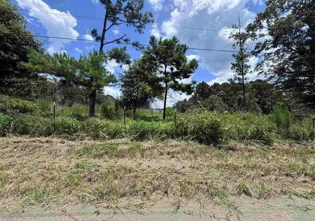 Homes for sale in Warren, TX | 426 County Road 1420, Warren, TX 77664 | MLS# 33865622