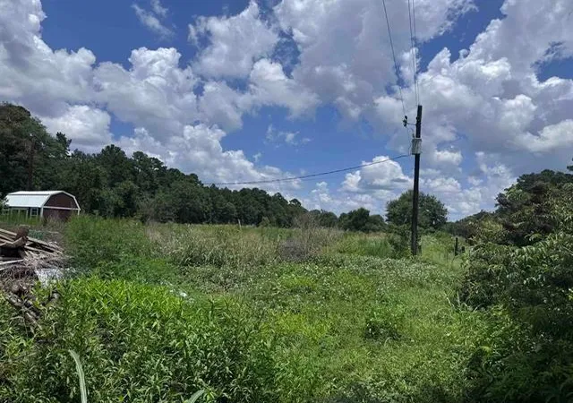 7th image of 426 County Road 1420, Warren, TX 77664 | MLS# 33865622