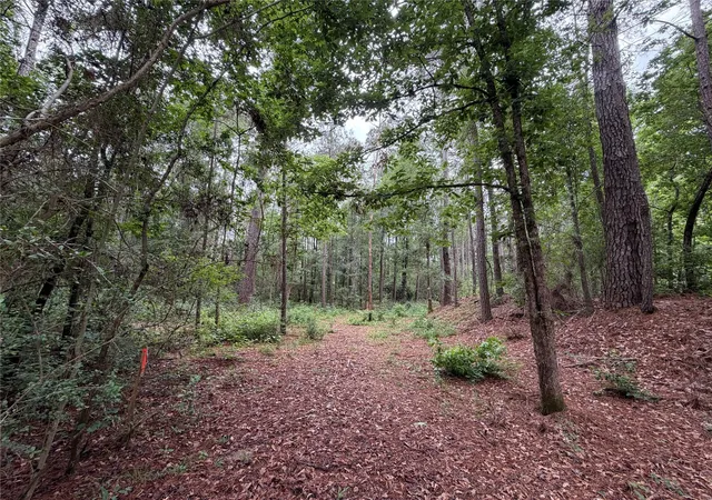 Photo 2 of Land for sale at 0 Hl Rd Lot 3, Willis, TX 77378 | MLS# 52838914 | Listing updated on 2026-08-03