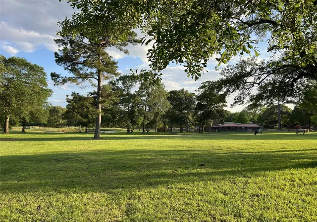 Photo 2 of Land for sale at 12494 725b Hill Crk Rd, Montgomery, TX 77356 | MLS# 9731868 | Listing updated on 2026-04-15