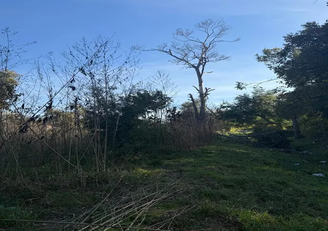 Photo 2 of Land for sale at 4804 Bostic St, Houston, TX 77016 | MLS# 23091378 | Listing updated on 2026-08-20