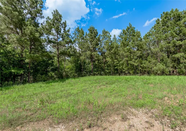 Homes for sale in Groveton, TX | Na Off Gaston Rd, Groveton, TX 75845 | MLS# 20315809