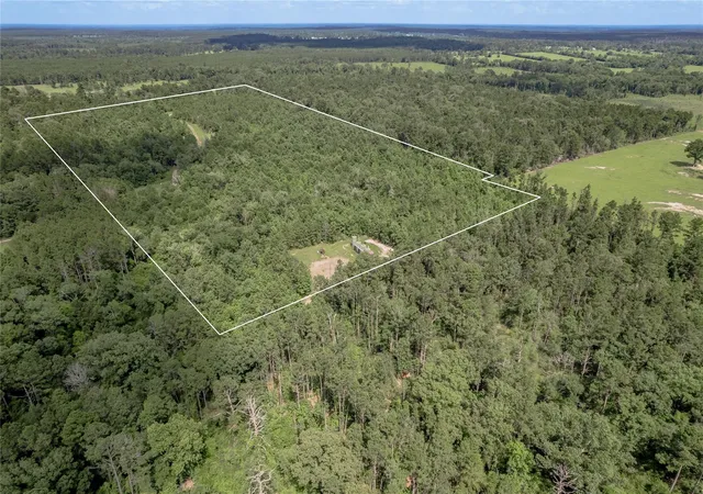 Homes for sale in Groveton, TX | Na Off Gaston Rd, Groveton, TX 75845 | MLS# 20315809