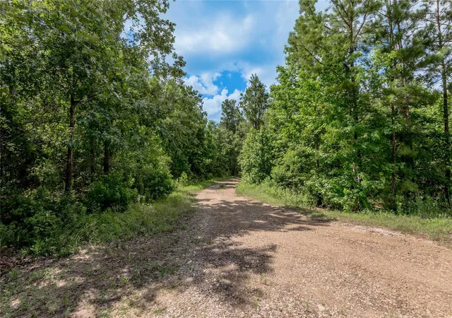 Homes for sale in Groveton, TX | Na Off Gaston Rd, Groveton, TX 75845 | MLS# 20315809