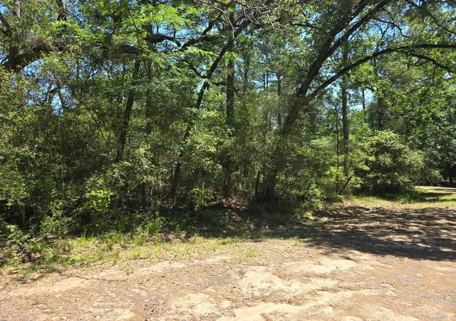 Homes for sale in Plantersville, TX | 9102 Blue Lake Dr, Plantersville, TX 77363 | MLS# 90294718