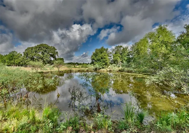 Photo 3 of Land for sale at Tbd W Magnolia Dr, Lyons, TX 77836 | MLS# 66099484 | Listing updated on 2026-01-16