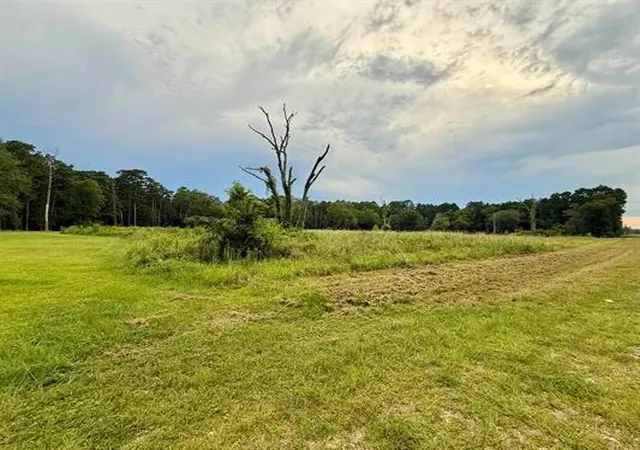 2nd image of 11553 Fm 2937, Silsbee, TX 77656 | MLS# 54912283