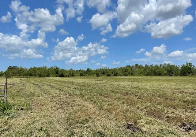 Photo 2 of Land for sale at 1602 County Rd 62, Rosharon, TX 77583 | MLS# 79419282 | Listing updated on 2026-02-02