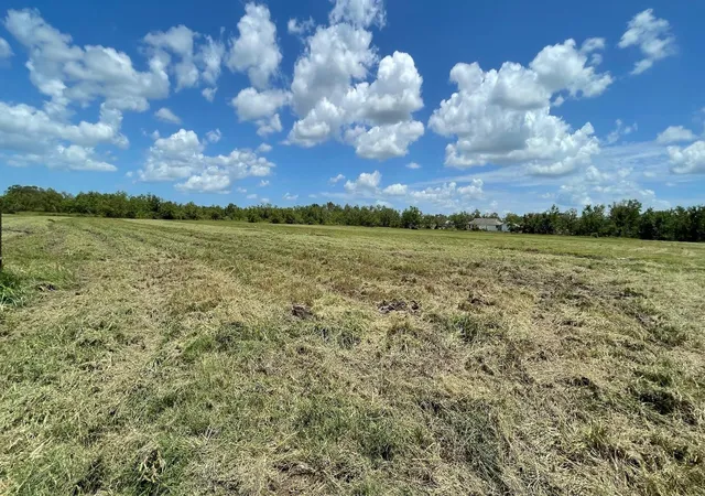 Photo 2 of Land for sale at 1602 County Rd 62, Rosharon, TX 77583 | MLS# 79419282 | Listing updated on 2026-02-02