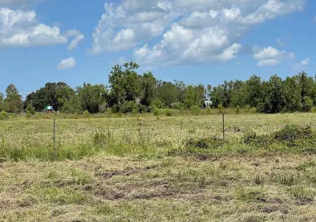 Photo 4 of Land for sale at 1602 County Rd 62, Rosharon, TX 77583 | MLS# 79419282 | Listing updated on 2026-02-02
