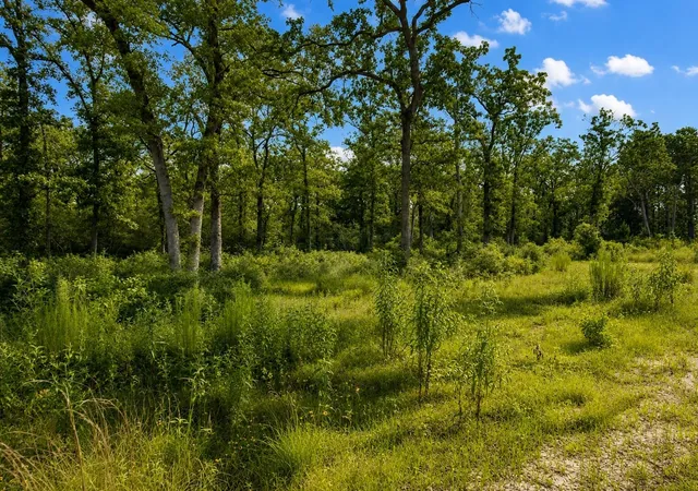 Homes for sale in Centerville, TX | Lot 90 Cr 114, Centerville, TX 75833 | MLS# 29782439