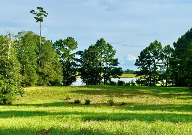 Photo 3 of Land for sale at Lot 344 Lakeland Ranch, Hillister, TX 77624 | MLS# 14362217 | Listing updated on 2026-07-19