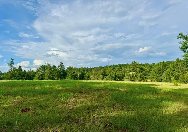 Photo 3 of Land for sale at Lot 344 Lakeland Ranch, Hillister, TX 77624 | MLS# 14362217 | Listing updated on 2026-07-19