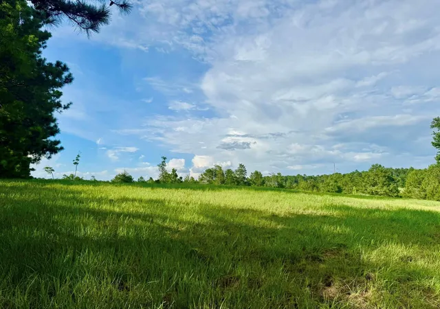 Photo 4 of Land for sale at Lot 344 Lakeland Ranch, Hillister, TX 77624 | MLS# 14362217 | Listing updated on 2026-07-19