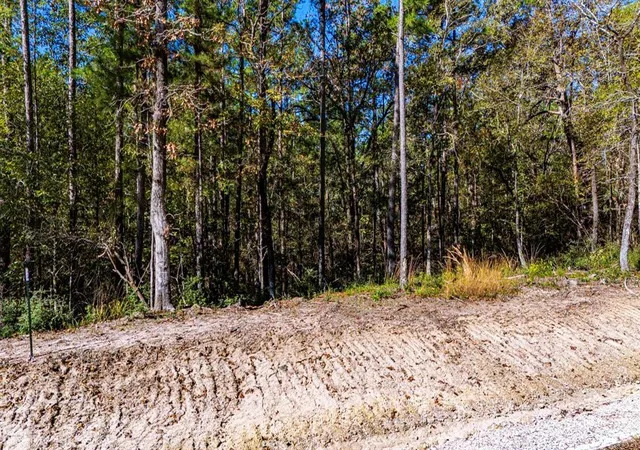 5th image of 017 Magnolia Ranch Rd, Onalaska, TX 77360 | MLS# 66454260