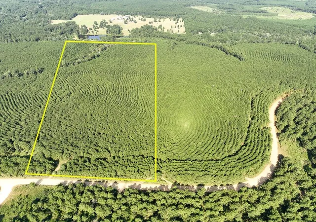 Photo 1 of Land for sale at 000 Shady Grove Rd, Woodville, TX 75979 | MLS# 6918118 | Listing updated on 2026-08-07