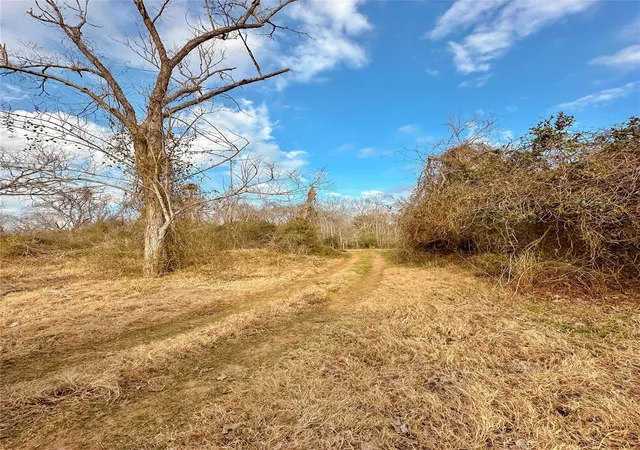 Photo 4 of Land for sale at 0 Redwood St, Rosharon, TX 77583 | MLS# 64896037 | Listing updated on 2026-04-03