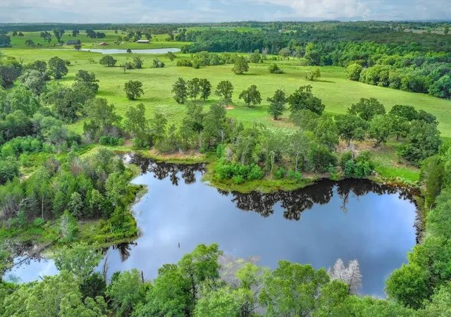 1st image of 80(+/ ) Acres Private Road 531, Grand Saline, TX 75140 | MLS# 35712771