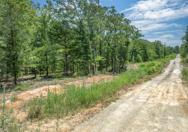 27th image of 80(+/ ) Acres Private Road 531, Grand Saline, TX 75140 | MLS# 35712771