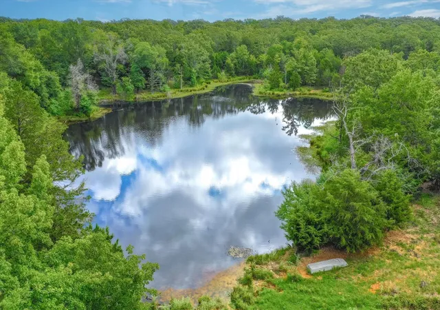 3rd image of 80(+/-) Acres Private Road 531, Grand Saline, TX 75140 | MLS# 35712771