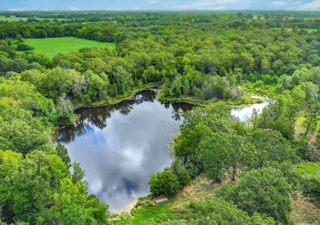 4th image of 80(+/-) Acres Private Road 531, Grand Saline, TX 75140 | MLS# 35712771
