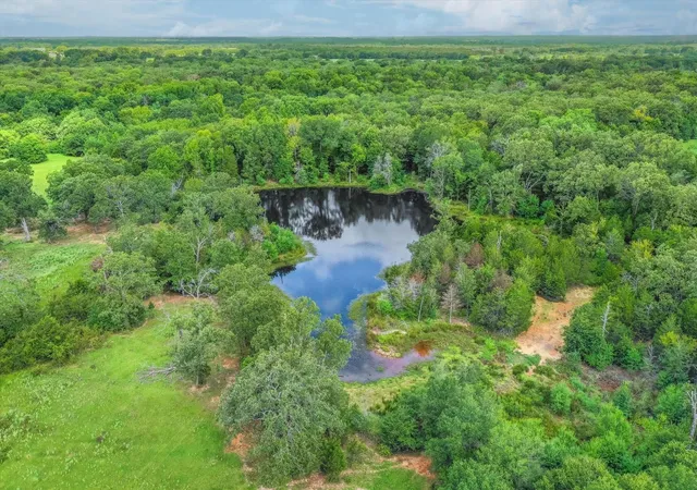 5th image of 80(+/-) Acres Private Road 531, Grand Saline, TX 75140 | MLS# 35712771