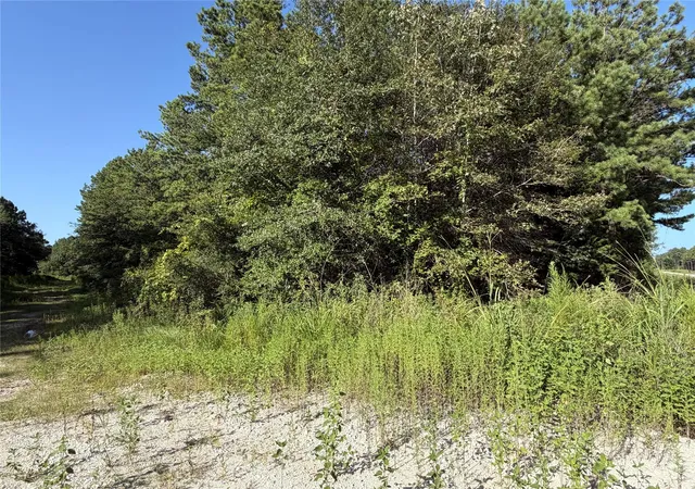 10th image of Tract 51 Black Cat Rd, Sour Lake, TX 77659 | MLS# 37796571