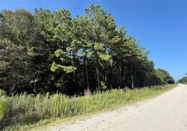 1st image of Tract 51 Black Cat Rd, Sour Lake, TX 77659 | MLS# 37796571