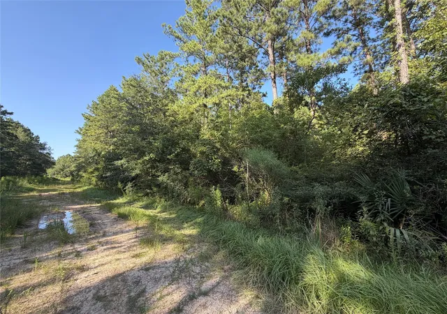 2nd image of Tract 51 Black Cat Rd, Sour Lake, TX 77659 | MLS# 37796571