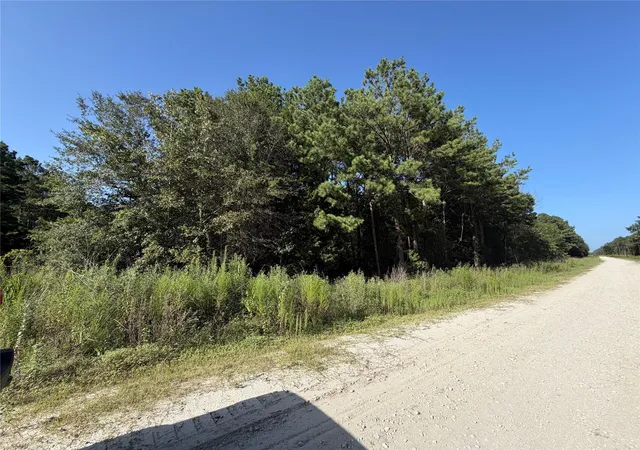 Photo 4 of Land for sale at Tract 51 Black Cat Rd, Sour Lake, TX 77659 | MLS# 37796571 | Listing updated on 2026-07-21