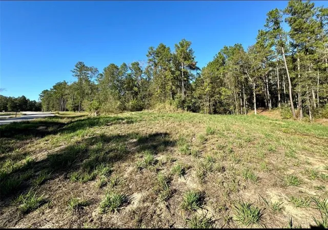 2nd image of 435 County Road 6324, Dayton, TX 77535 | MLS# 37748843