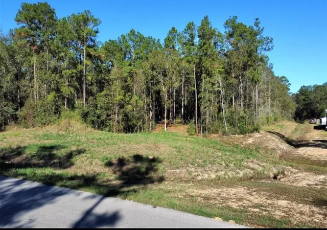 3rd image of 435 County Road 6324, Dayton, TX 77535 | MLS# 37748843