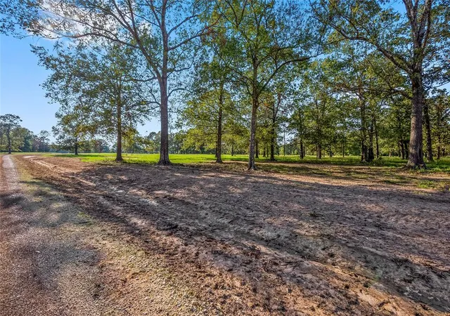 1st image of 6087 Alans Memorial Ln, New Waverly, TX 77358 | MLS# 93283751