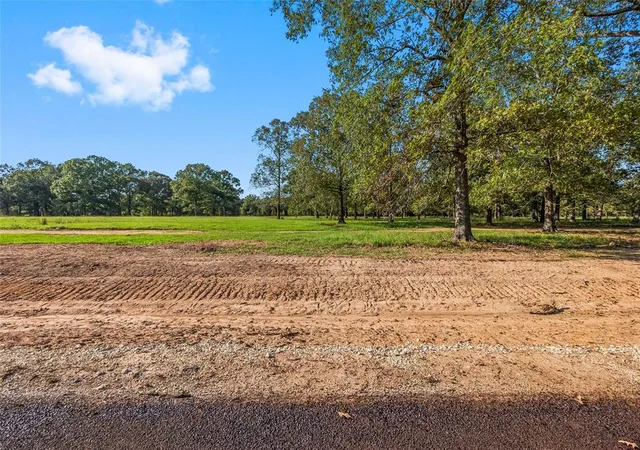 2nd image of 6087 Alans Memorial Ln, New Waverly, TX 77358 | MLS# 93283751