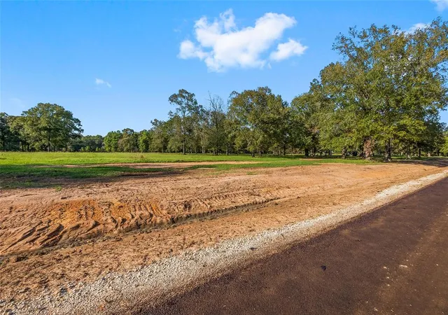3rd image of 6087 Alans Memorial Ln, New Waverly, TX 77358 | MLS# 93283751