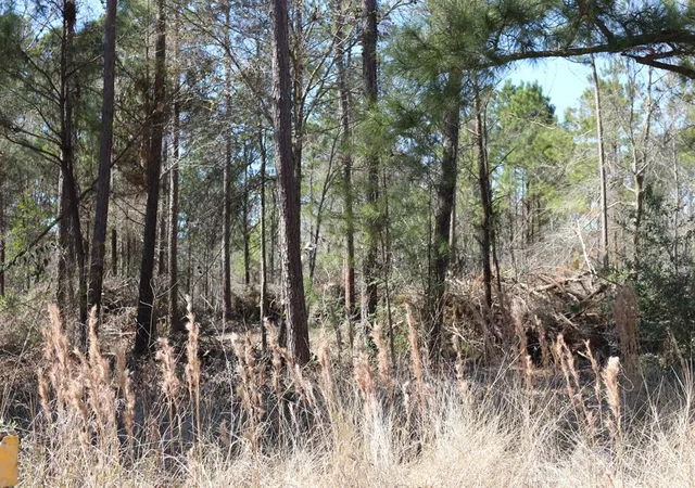 3rd image of 6-2 N Hwy 356, Onalaska, TX 77360 | MLS# 92917158