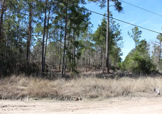 5th image of 6-2 N Hwy 356, Onalaska, TX 77360 | MLS# 92917158