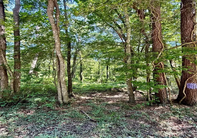2nd image of Tbd Lot 2 Rolling Hills Dr, Porter, TX 77365 | MLS# 50519604