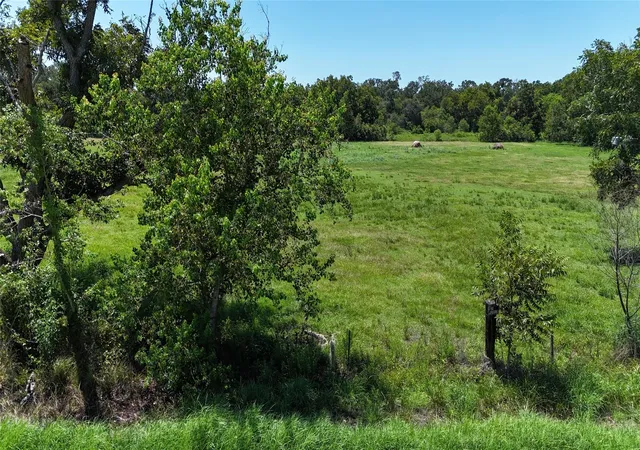 4th image of Tbd County Road 748 Nar, Rosharon, TX 77583 | MLS# 35554025