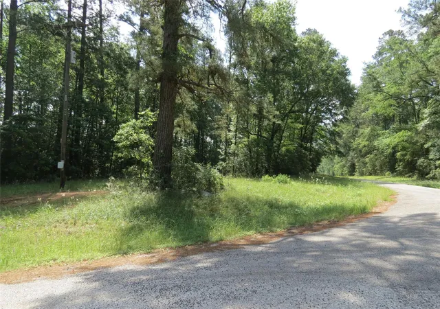 Photo 2 of Land for sale at Tbd Dorrell Rd, Huntsville, TX 77340 | MLS# 45667777 | Listing updated on 2026-07-30