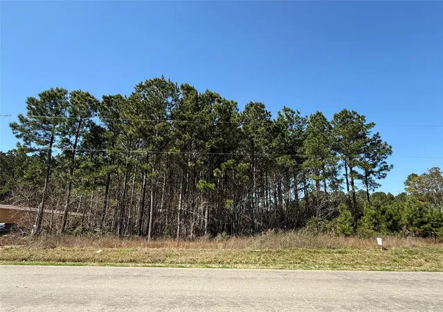 Photo 2 of Land for sale at 185 County Rd 3570, Cleveland, TX 77327 | MLS# 26047315 | Listing updated on 2026-06-08