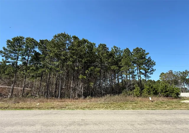 Photo 3 of Land for sale at 185 County Rd 3570, Cleveland, TX 77327 | MLS# 26047315 | Listing updated on 2026-06-08