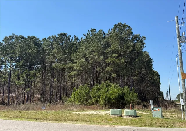 Photo 4 of Land for sale at 185 County Rd 3570, Cleveland, TX 77327 | MLS# 26047315 | Listing updated on 2026-06-08