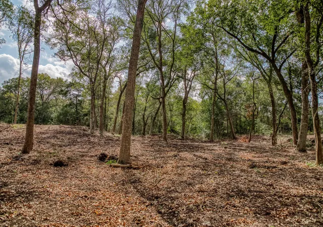 Photo 4 of Land for sale at 0000 Sun Oil Rd, Brenham, TX 77833 | MLS# 29475933 | Listing updated on 2026-07-31