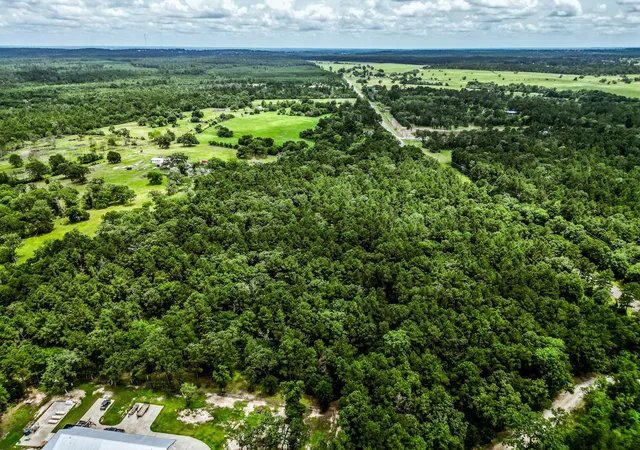 4th image of Tbd State Hwy 75 N, Huntsville, TX 77320 | MLS# 11965024