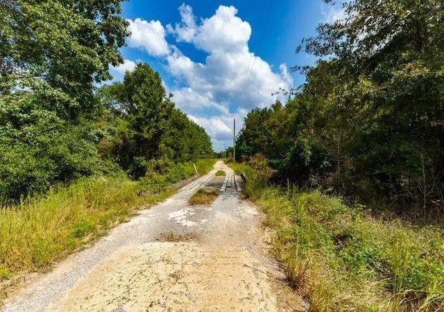 Homes for sale in Kountze, TX | Lot 7 Blue Jay Dr, Kountze, TX 77625 | MLS# 65873263