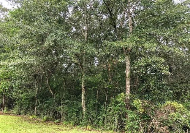 Homes for sale in Kountze, TX | Lot 7 Blue Jay Dr, Kountze, TX 77625 | MLS# 65873263