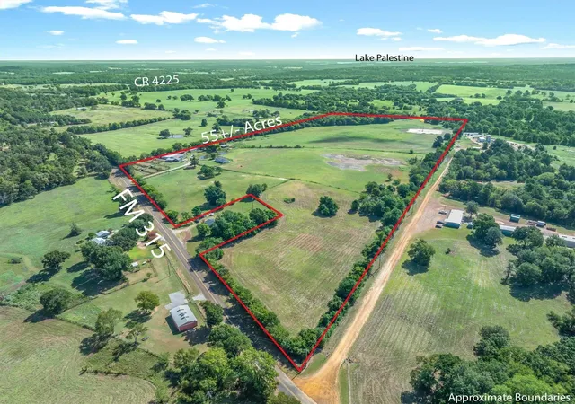 Single family home for sale at 10815 Fm 315, Poynor, TX 75763 | MLS# 79858263