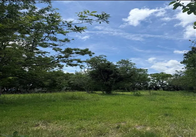 1st image of 2929 2nd Ave N, Texas City, TX 77590 | MLS# 22721108