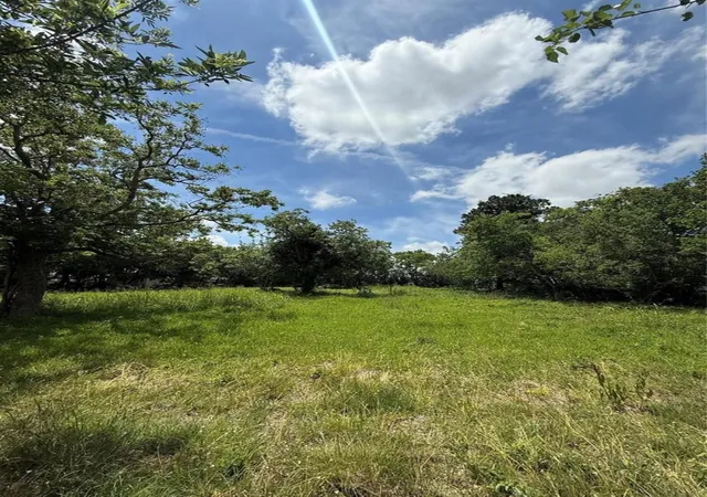 Photo 3 of Land for sale at 2929 2nd Avenue N, Texas City, TX 77590 | MLS# 22721108 | Listing updated on 2026-08-24
